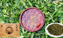 海马宫茶和海马有什么关系?都有哪些特点